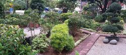Ivory Heights (D22), Condominium #346500841